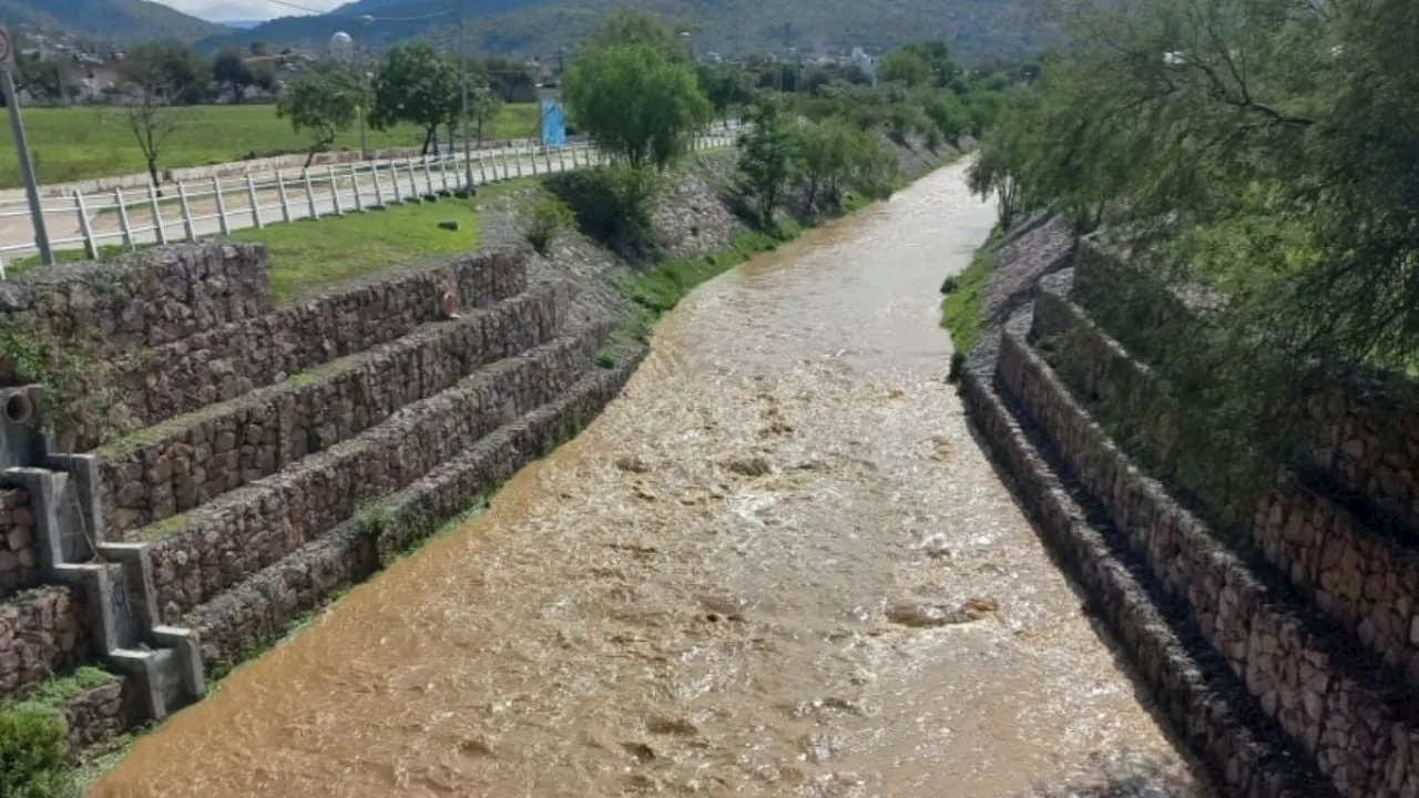 Así lleva agua el Arroyo de la Sardaneta a la Presa del Palote