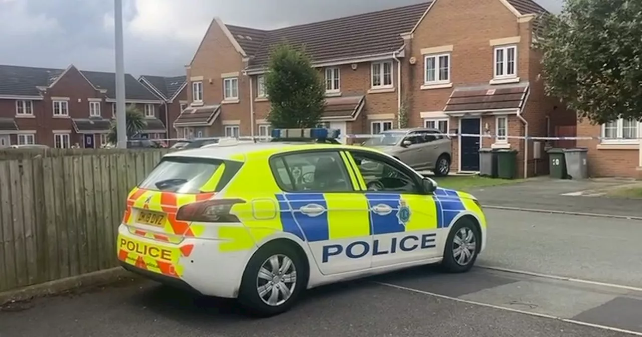 Man stabbed after confronting group smashing house windows