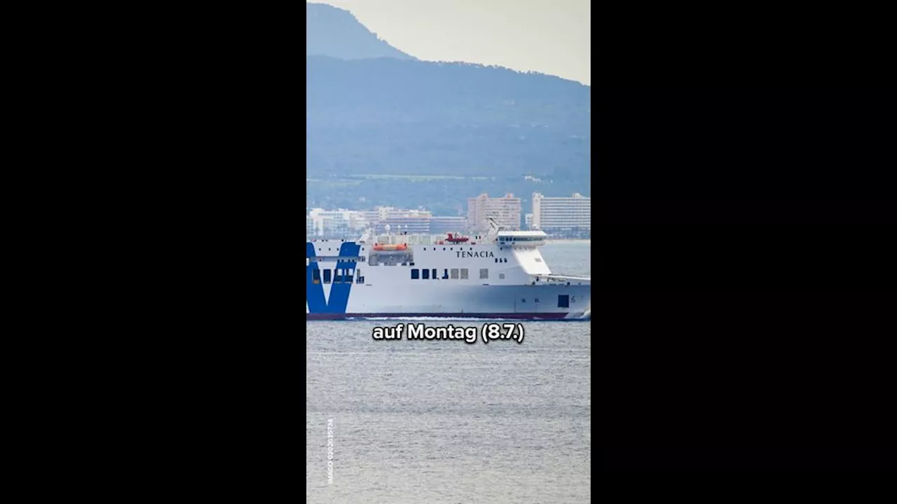 Mallorca-Urlauber verliert Luxus-Uhr: Taucher findet sie nach einem Jahr