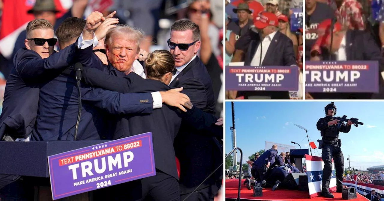 Donald Trump falls to ground bleeding after gun attack at rally