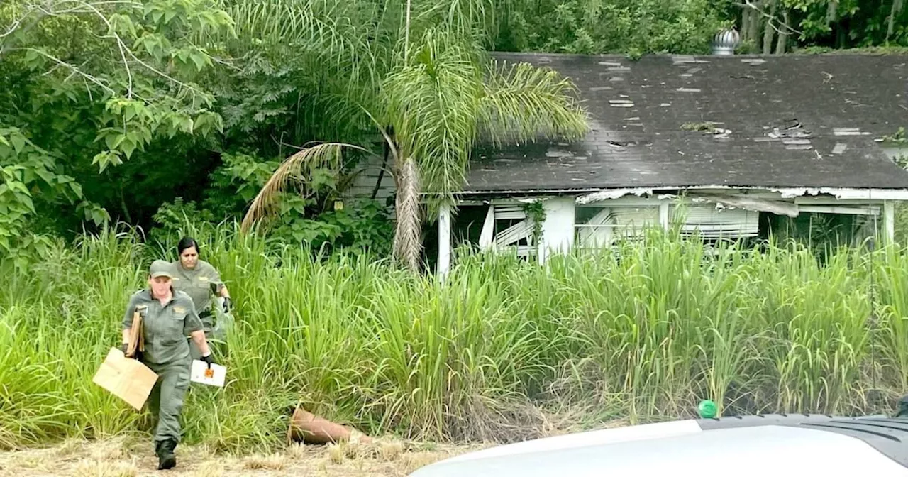 Boys find human skeletal remains while playing in abandoned home