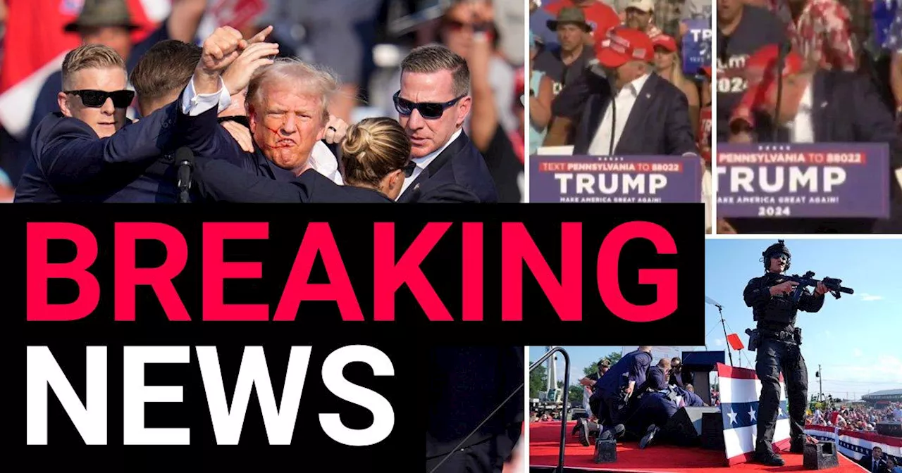 Donald Trump falls to ground bleeding after gun attack at rally