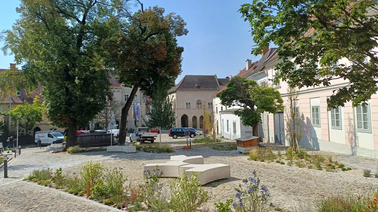 Bibi Blocksberg: Hoher Markt Krems als Filmkulisse