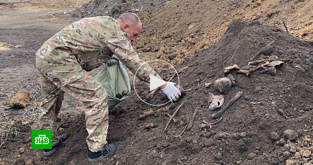 В Воронеже нашли страшное свидетельство геноцида советских граждан в годы ВОВ