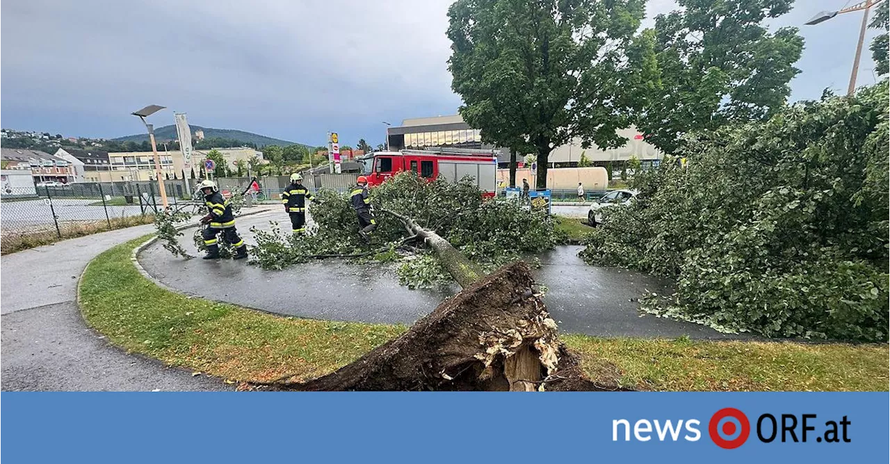 Starkregen und Hagel: Große Schäden nach neuen Unwettern