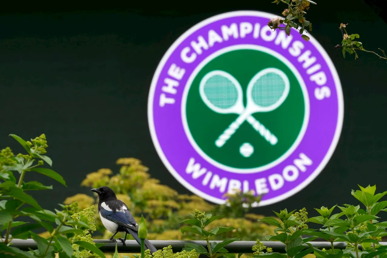 How to watch Wimbledon 2024 women’s doubles final: FREE live stream, time, channel