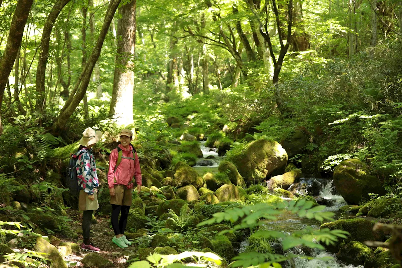 涼を求めて水めぐり 標高920mの高原へ 奥大山には涼を感じる美しい散策スポットがあります 休暇村奥大山では、地下２５０ｍから汲み上げた「天然水の足水」がおすすめ