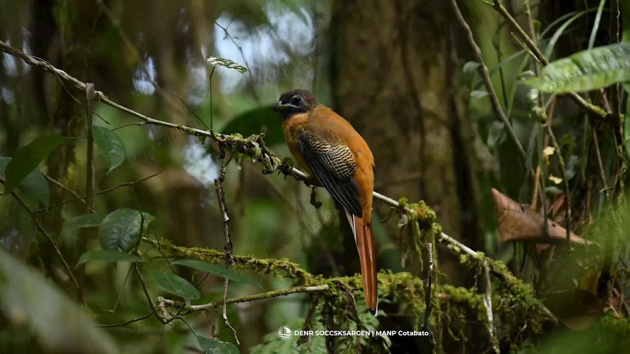 We ruined protected areas, now we must save them