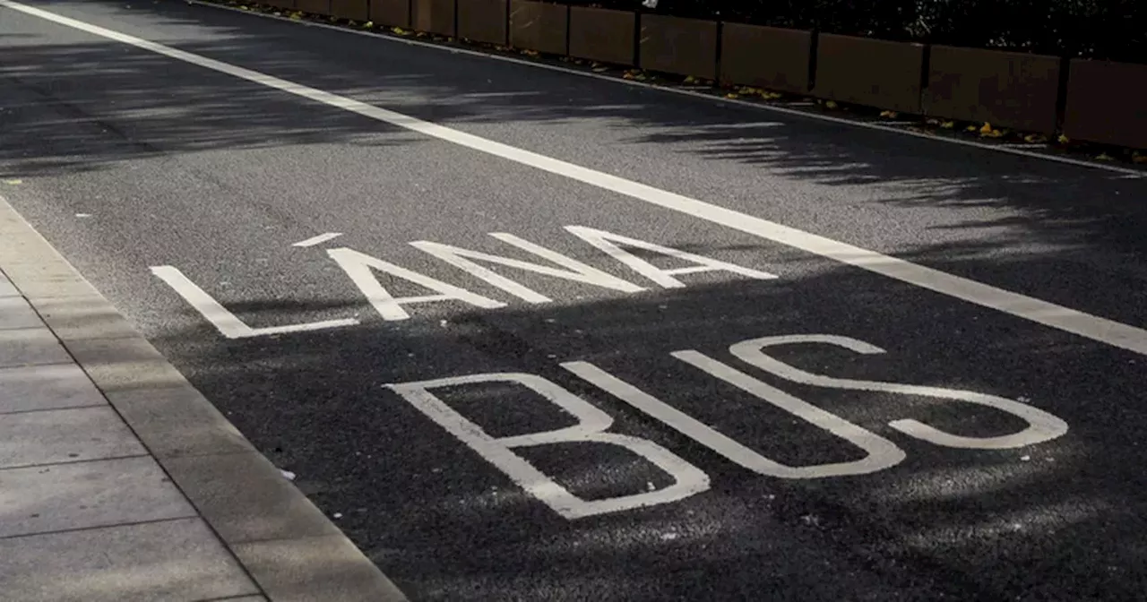 Bus driver taken to hospital over 'disgraceful' shooting incident in Limerick