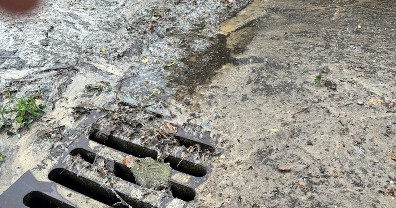 Bewoners Hulstlaan Zuidlaren zijn wateroverlast in de straat zat: 'een bruine rivier van rioolwater'