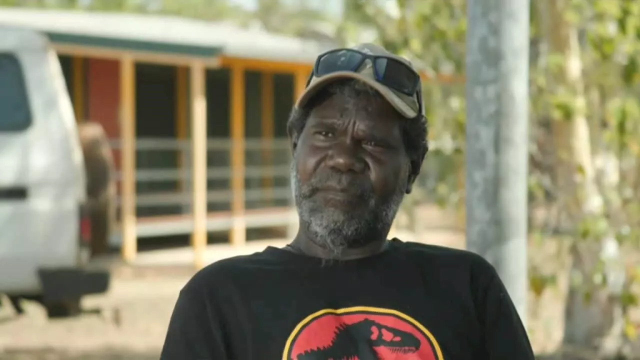 Tiwi Island community looking to boost knowledge of benefits of bush medicine