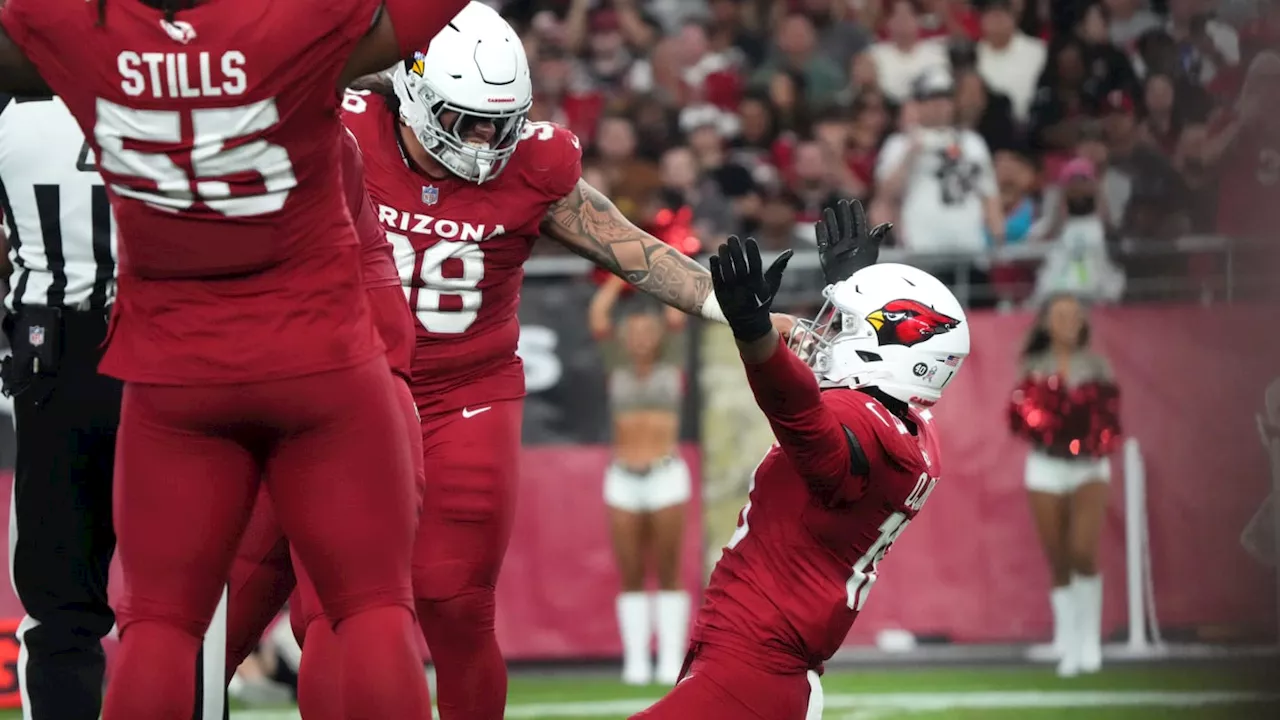 Arizona Cardinals OLB Projected to See Double-Digit Sack Season