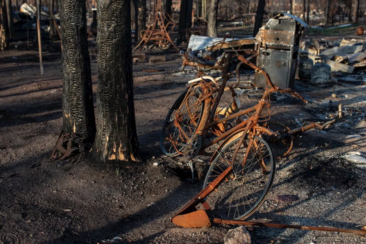 Wildfire season close to 10-year average heading into the peak summer months