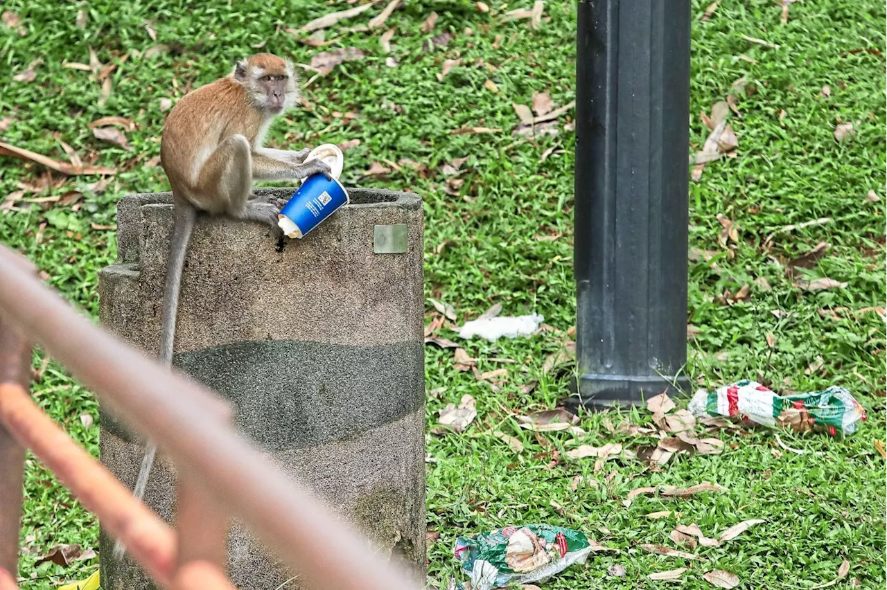 Bukit Jalil park ruined by rubbish