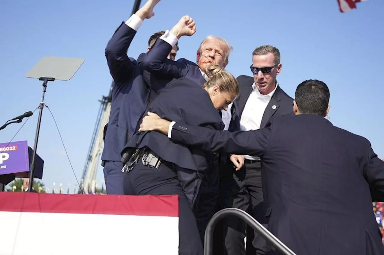 Donald Trump Injured, Rushed Off Stage As Multiple Shots Heard At ...