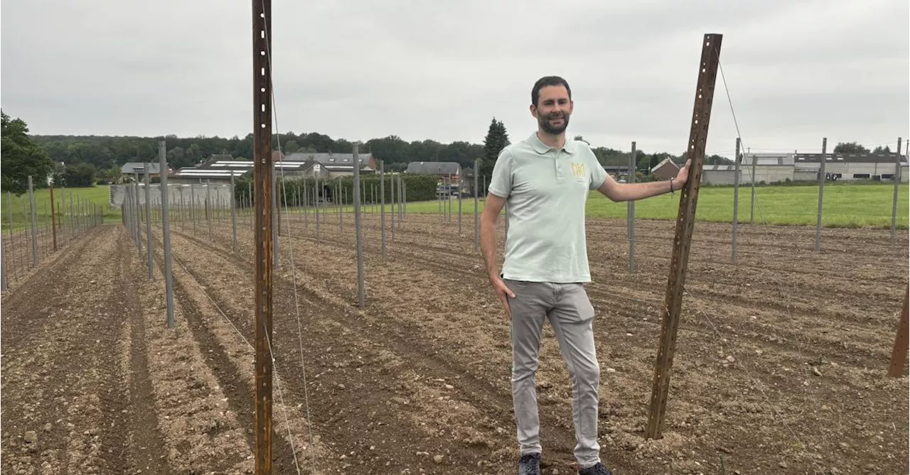 Gilles lance le Vignoble de l’AM à Froidchapelle : « On pourra proposer du vin blanc sec, des bulles et même
