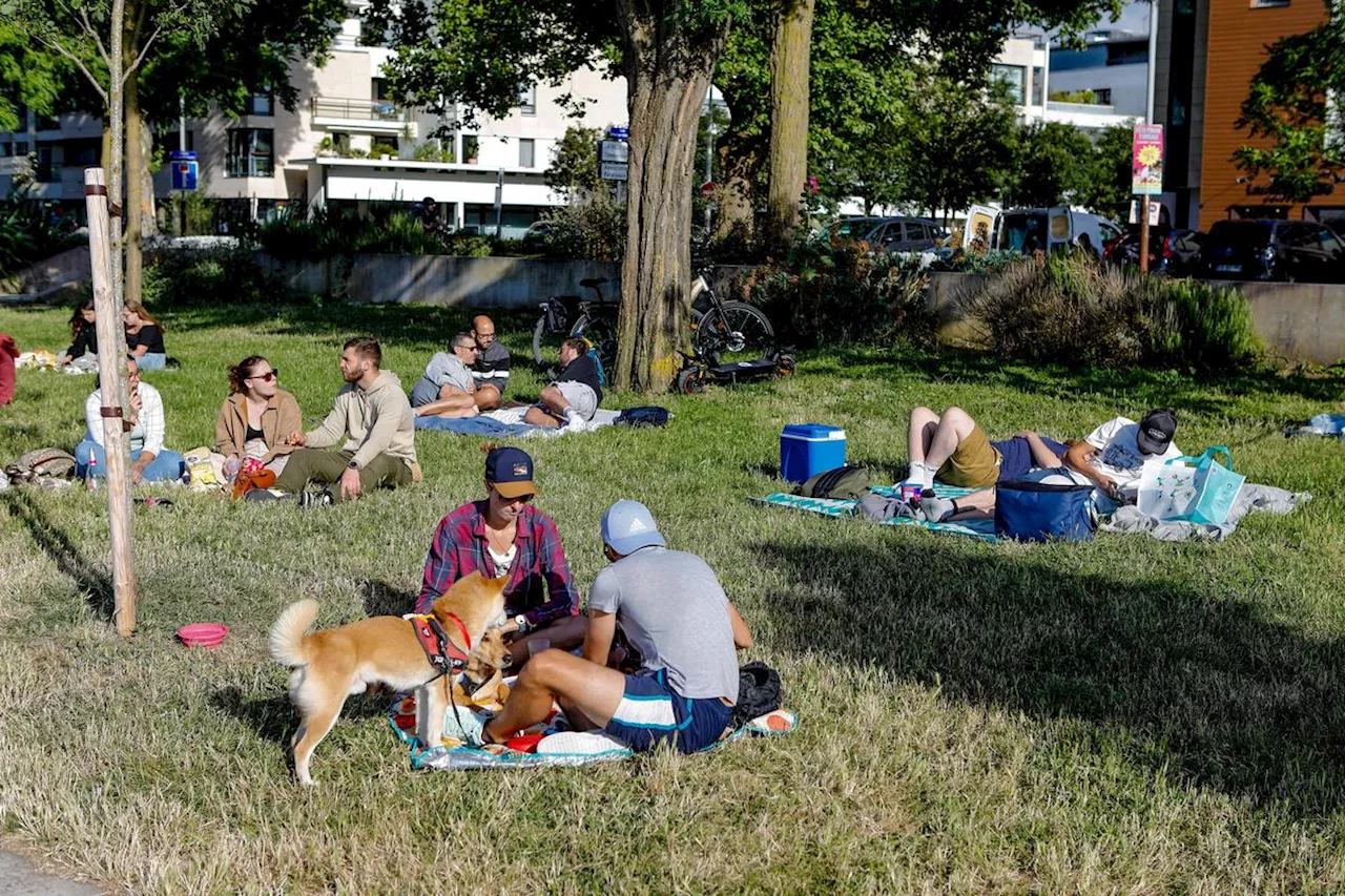 Francofolies de La Rochelle 2024 : « Sur la pelouse, l’ambiance est meilleure »