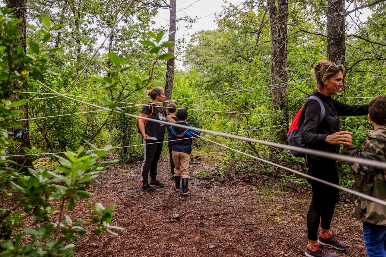 Vacances en Gironde : des forêts et des labyrinthes se font « magiques » pour animer l’été