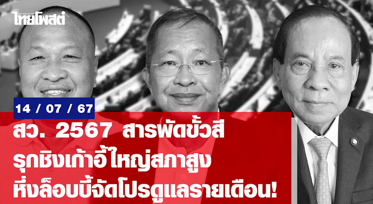 สว. 2567 สารพัดขั้วสี รุกชิงเก้าอี้ใหญ่สภาสูง หึ่งล็อบบี้จัดโปรดูแลรายเดือน!