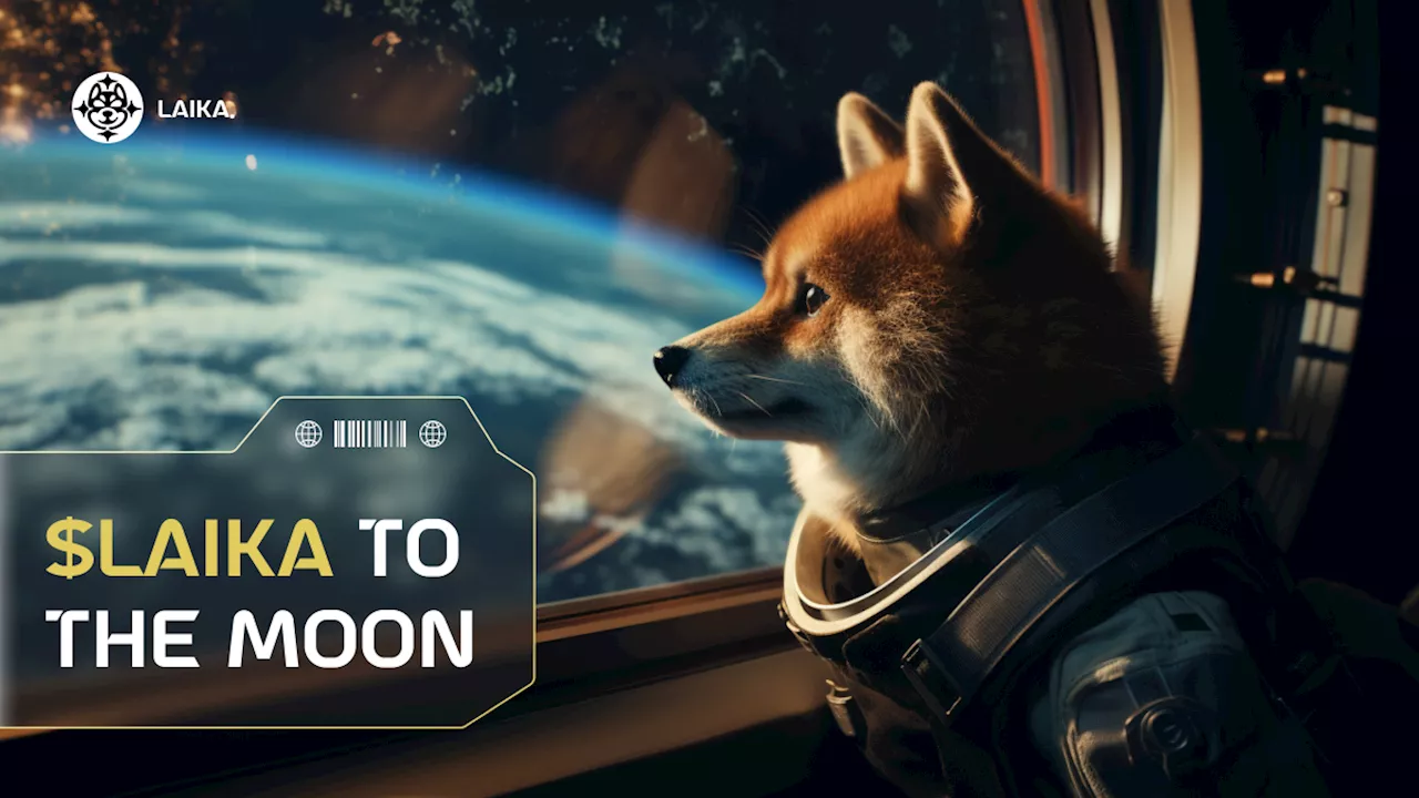 LAIKA Leads the Way: What a Meme Coin Should Look Like in 2024