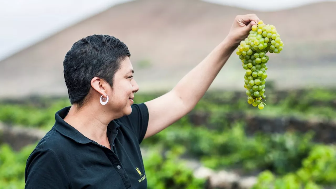 I use Lanzarote’s volcanos to make fine wine – ash is the secret ingredient