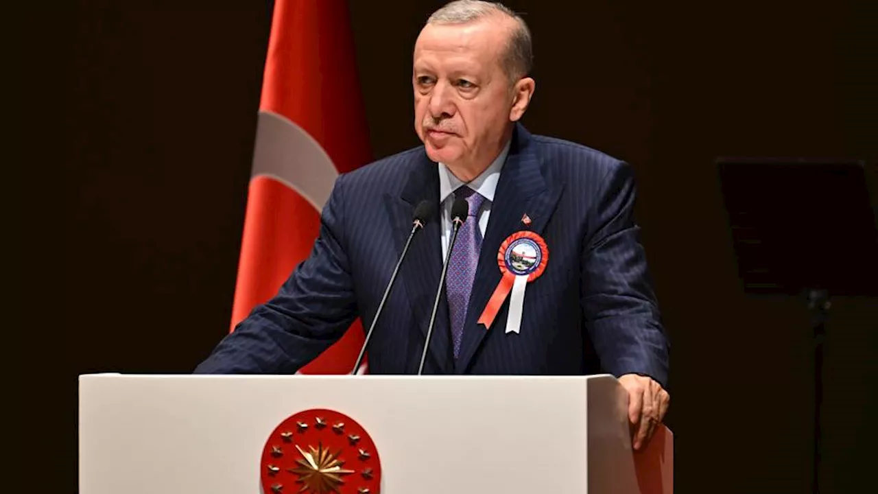 West’s support for Israel influenced by Holocaust shame: Erdogan