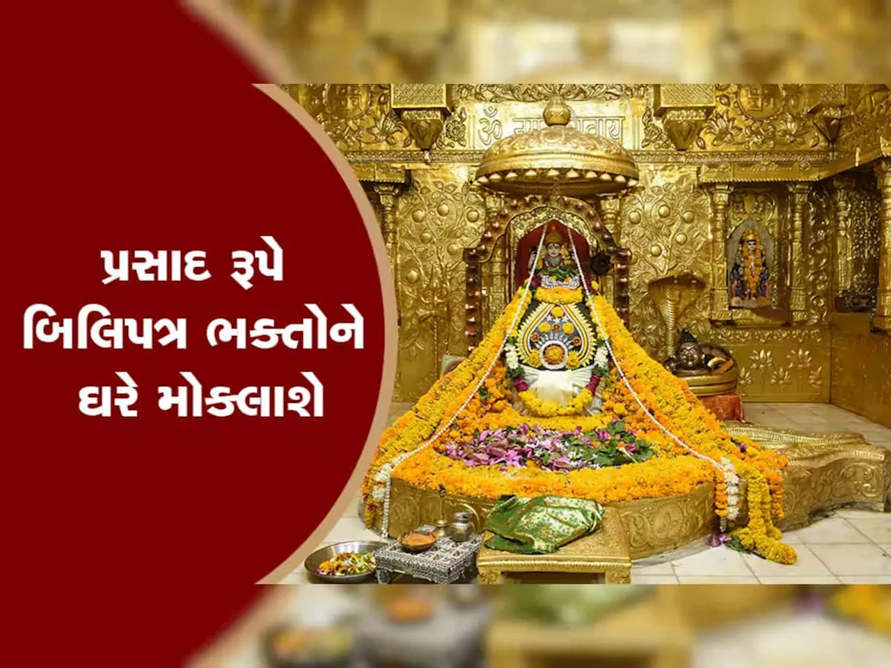 સોમનાથ દાદા પર અર્પણ થનાર દરેક બિલ્વપત્રમાં જોડાશે ભક્તોનું પુણ્ય, ફરી શરૂ થઈ આ સેવા