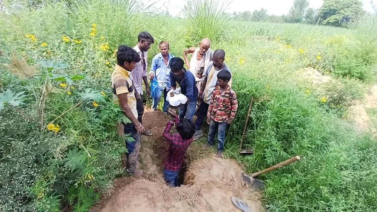 Haryana: जिंदगी की जंग हारी छाती से जुड़ी बच्चियां, परिजनों ने लक्ष्मी रखा था नाम; दिनरात कर रहे थे देखभाल