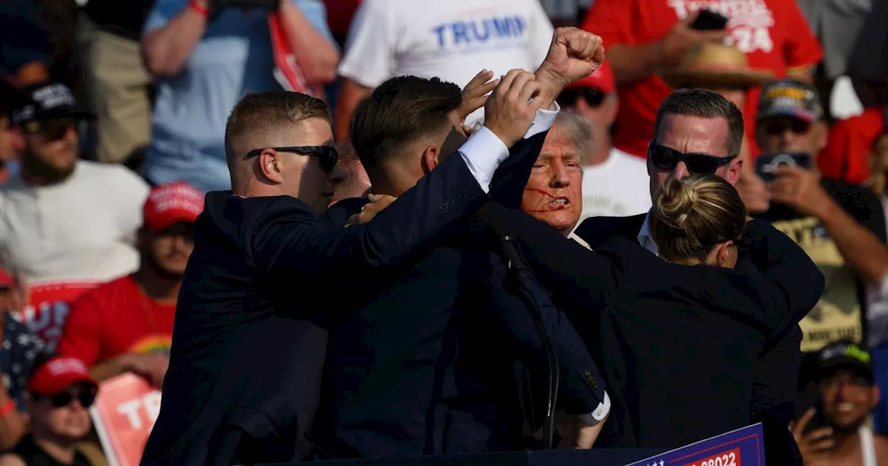 Photograph appears to show moment bullet whizzes past Donald Trump's head