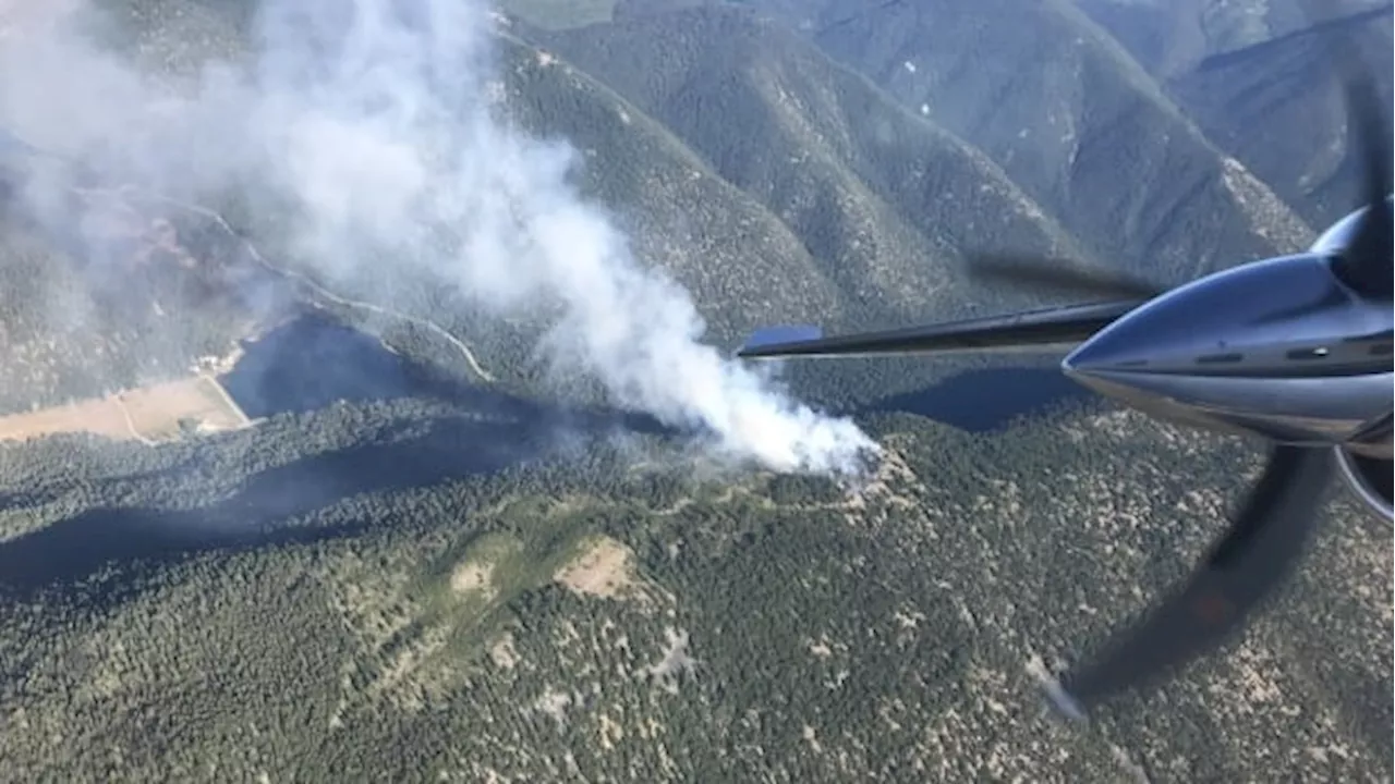 B.C. Wildfire Service says several new fires ignited by lightning