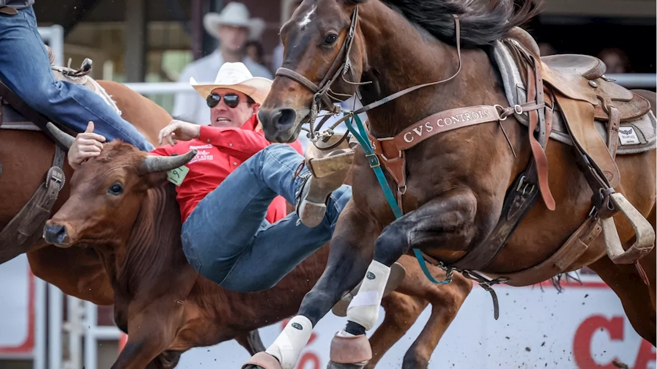 Horse euthanized after suffering fracture during chuckwagon races at Calgary Stampede