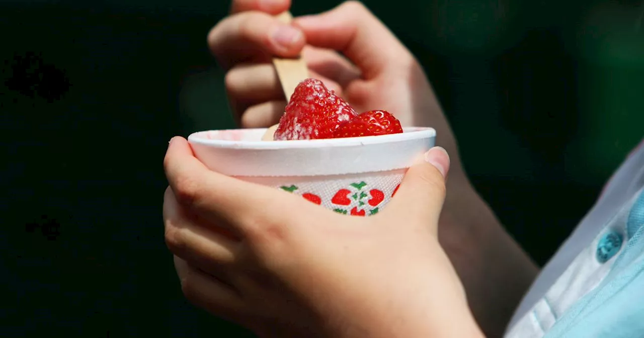 'Amazing' strawberries and cream puff pastries that are perfect for Wimbledon