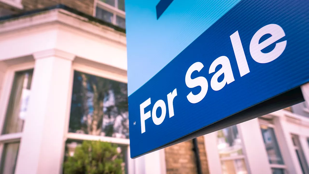 I'm a property expert... here are SEVEN tips to ensure you home flies off the market