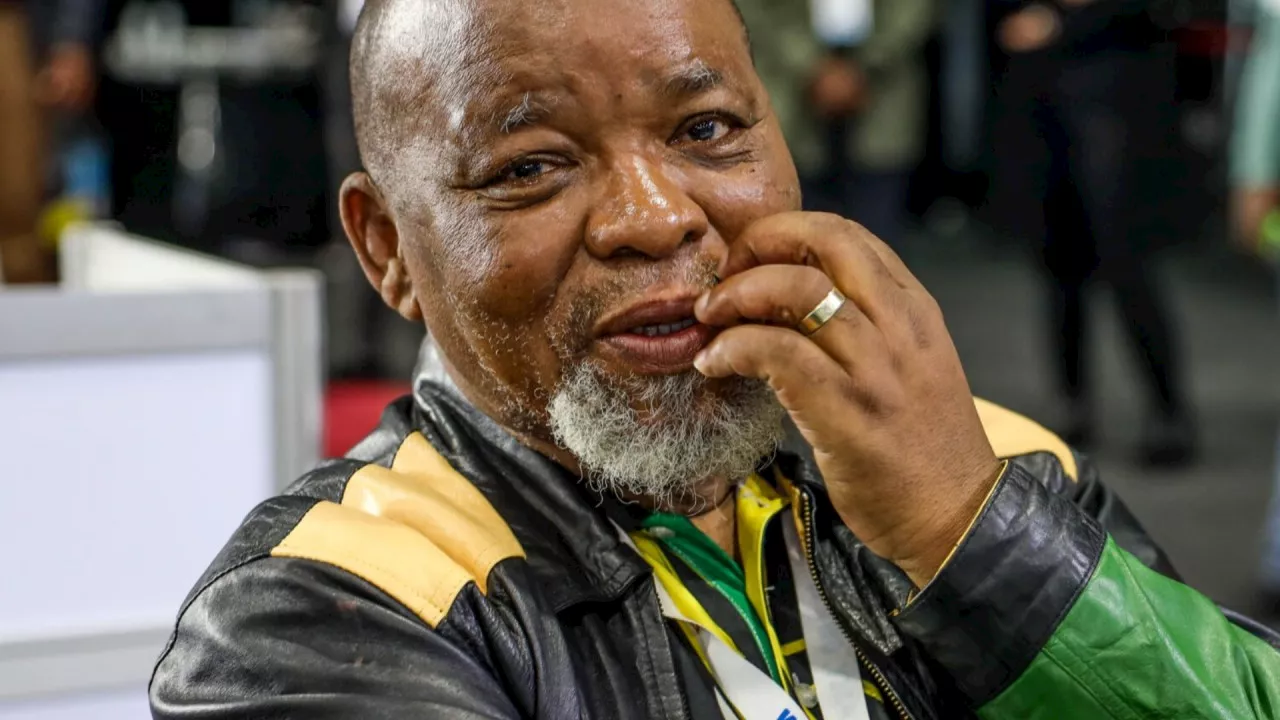 Minister Mantashe defends possible import of natural gas from Russia