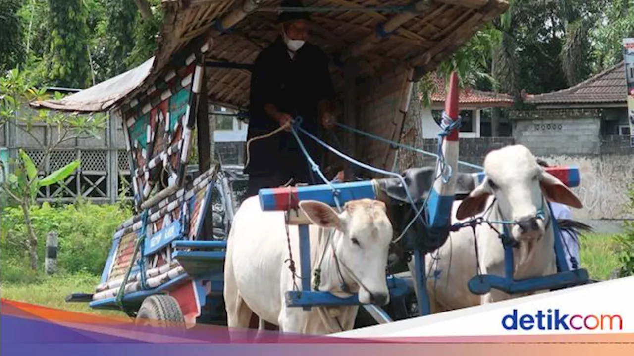 Makna Kata Bajingan Alami Perubahan Eksternal, Dari Profesi Jadi Makian