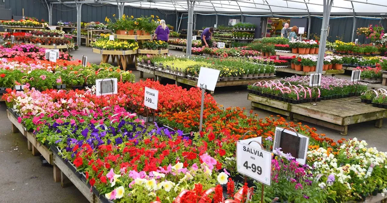 These are the top-rated garden centres across Merseyside