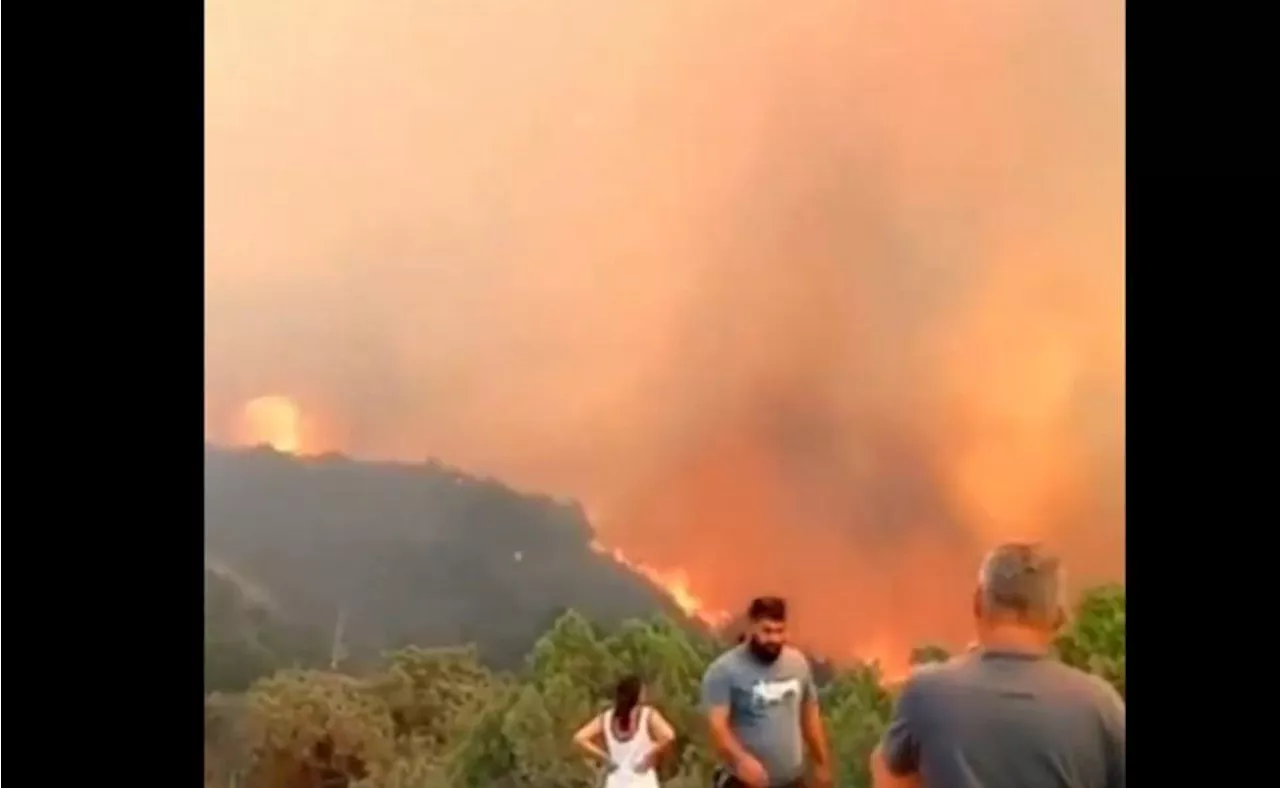 Declaran estado de emergencia en ciudad rusa de Novorossíisk por extenso incendio forestal