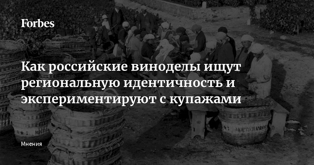 Как российские виноделы ищут региональную идентичность и экспериментируют с купажами