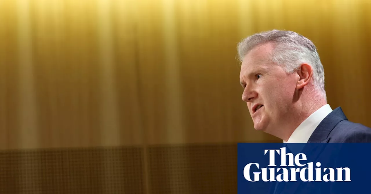 CFMEU could be deregistered ‘if that’s what needs to be done’ after allegations, minister says