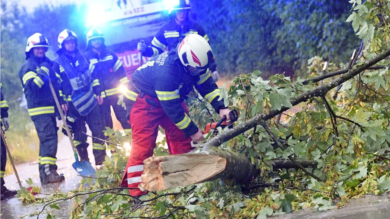 Feuerwehrmann bei Unwetter-Einsatz von Baum getroffen