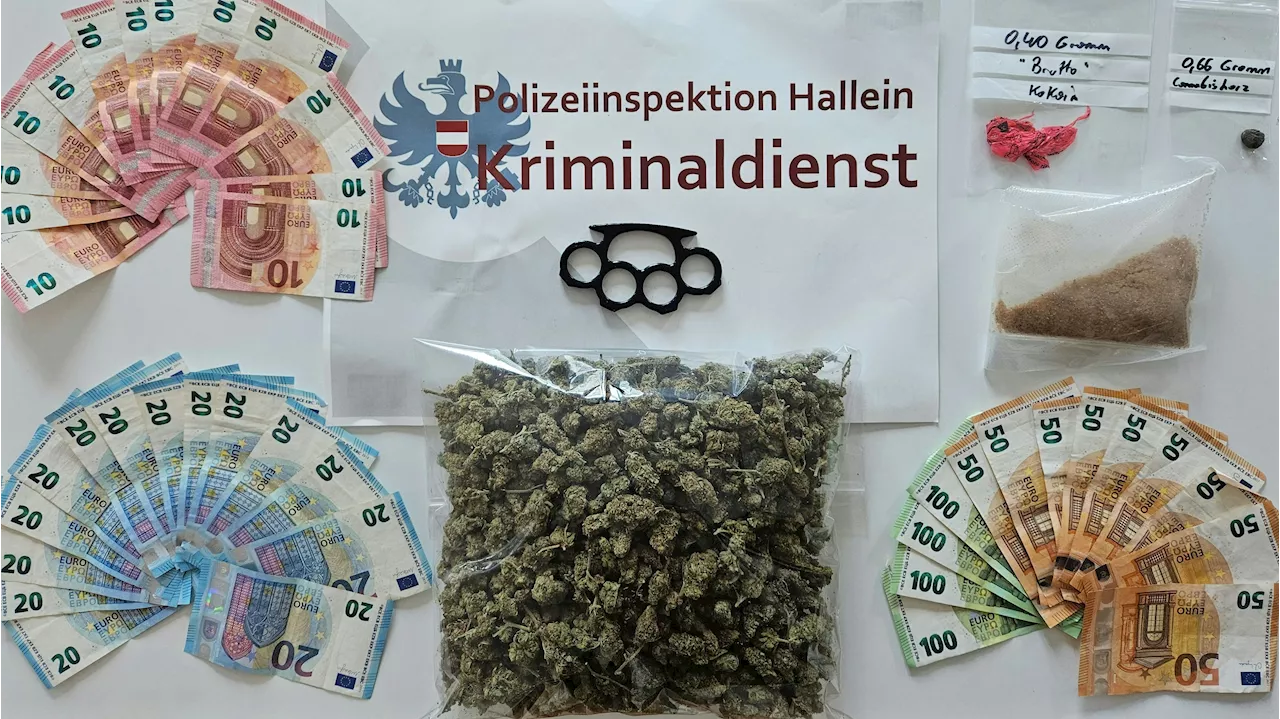 Polizei läutet bei falscher Tür – findet Grasplantage