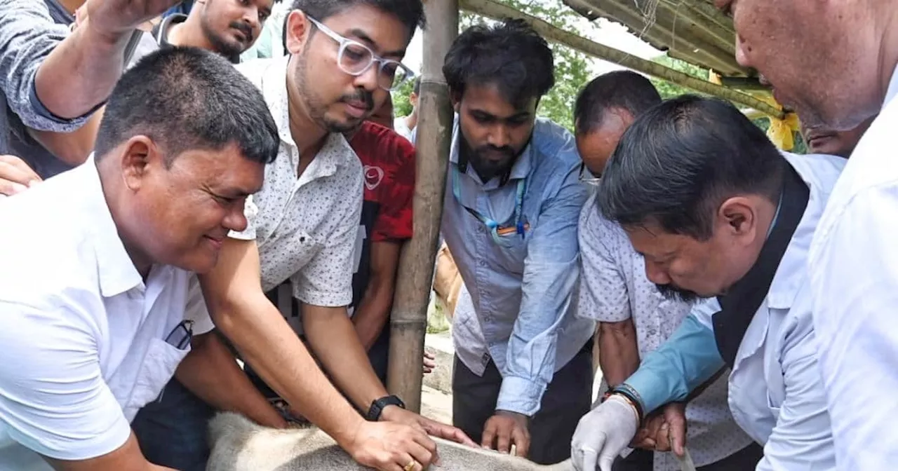 मंत्री ने बकरी और गाय को लगाया टीका, श‍िकायत करने थाने पहुंच गए लोग, दी ऐसी-ऐसी दलील, पुल‍िसवाले भी रह गए स...