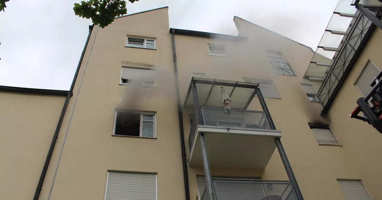 Backofen vergessen: Katze aus brennender Wohnung in Straubing gerettet