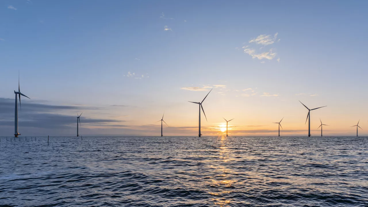 US could get low-cost clean hydrogen from offshore wind farms: Study