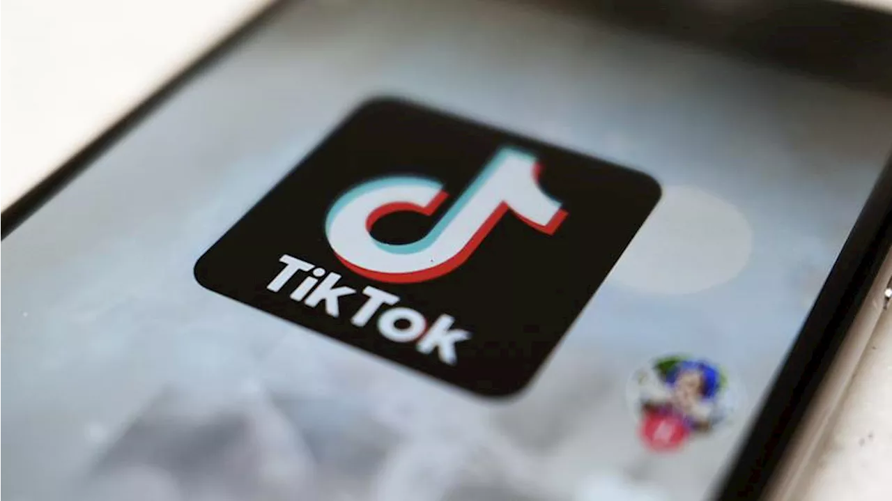 Пользователи TikTok в США расстроились промахом подозреваемого в покушении на Трампа