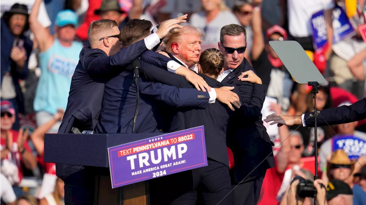 Former Secret Service agent reacts to shooting at former President Trump's rally