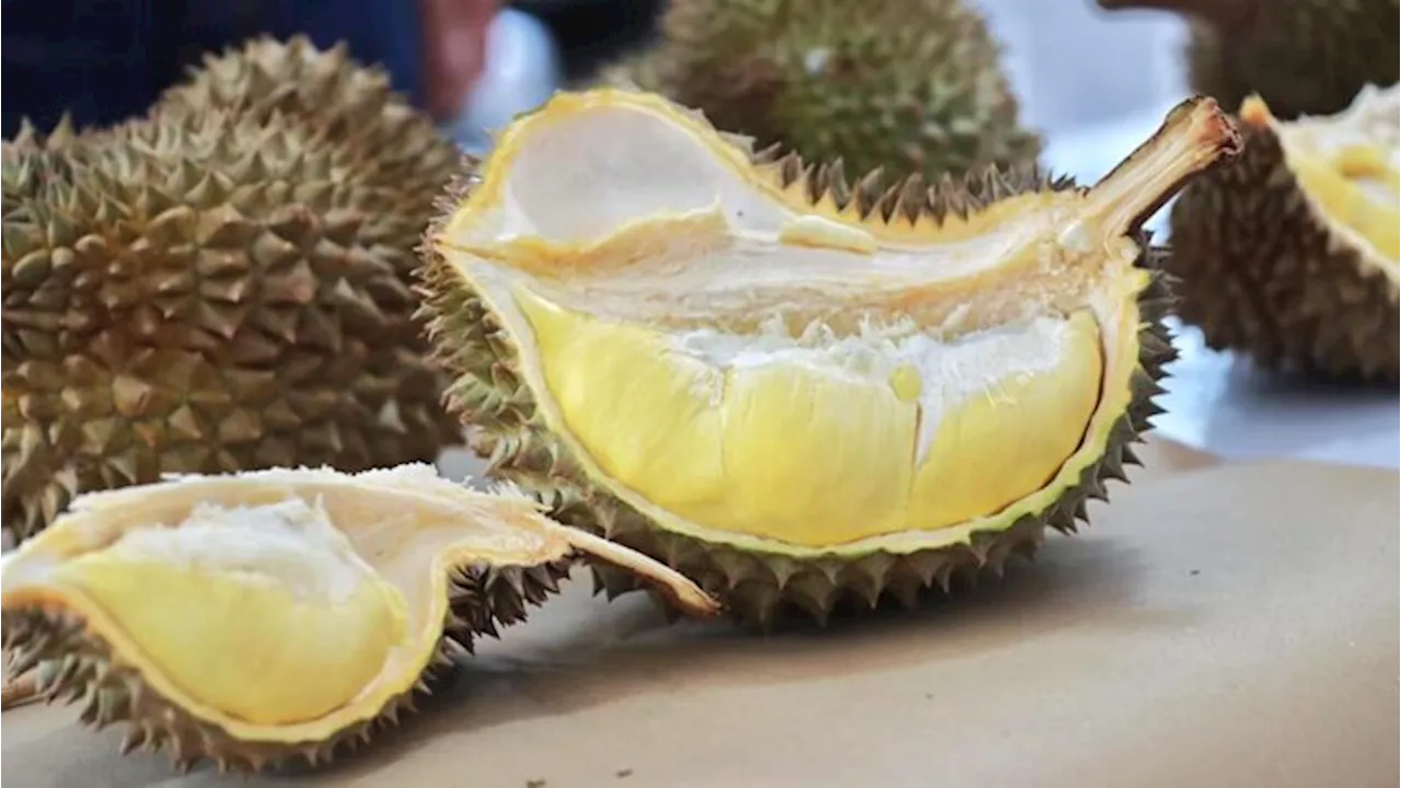 ข่าวสด