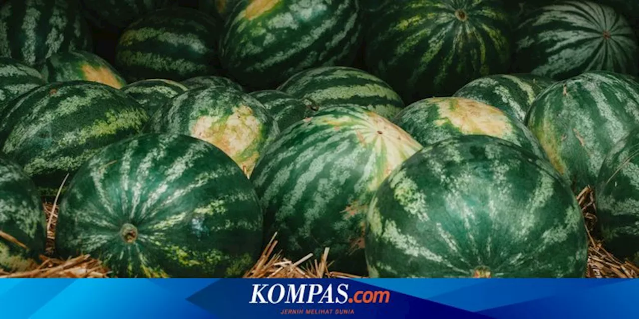 5 Manfaat Buah Semangka untuk Kesehatan