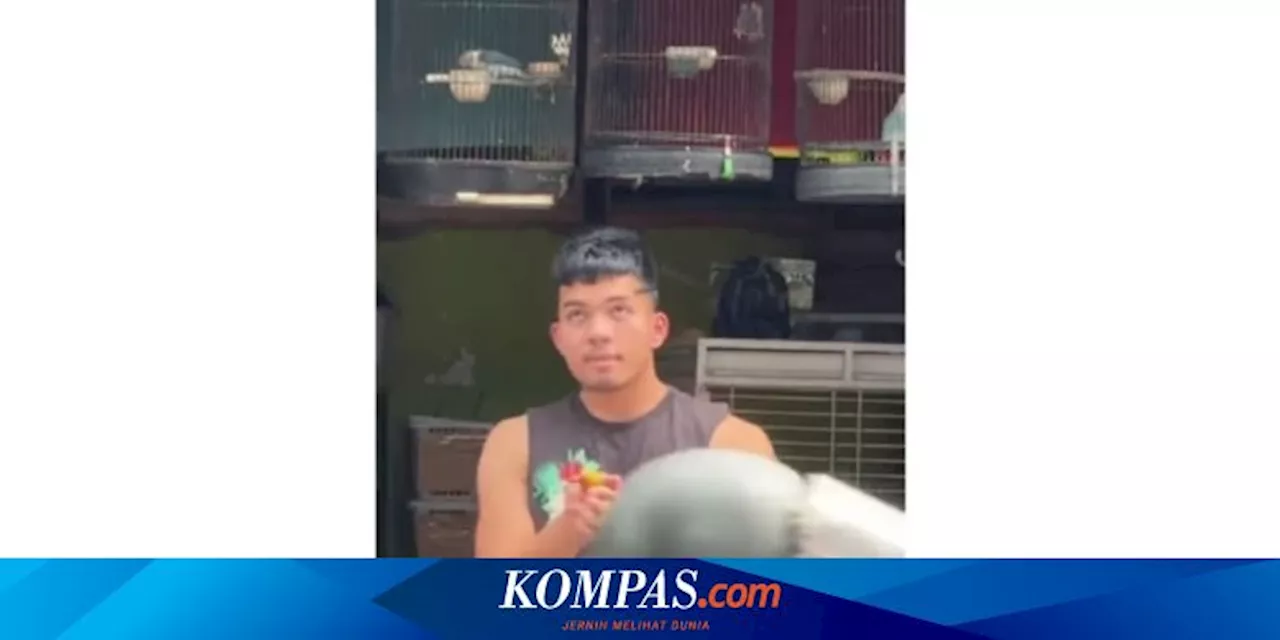 Konten Lepas Burung Loverbird Dikritik, Saaih Halilintar: Kata Penjualnya Aman Dilepas