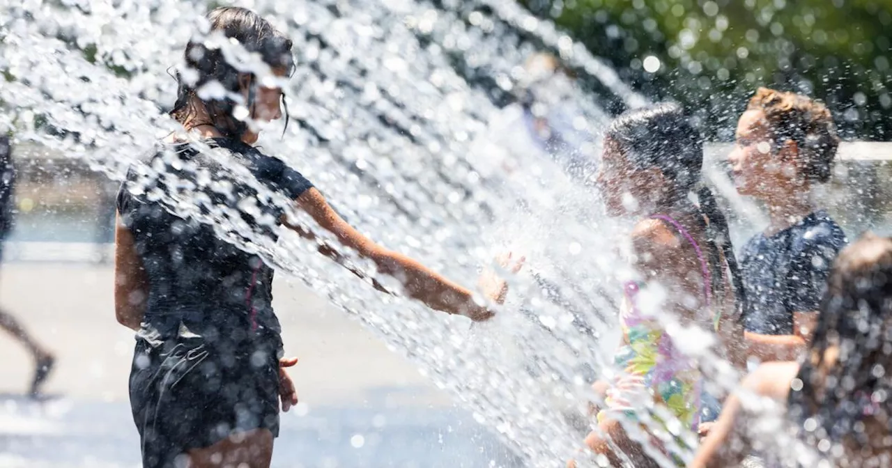 Hitze und Unwetter: 38 Grad in Sicht, während das große Aufräumen weitergeht